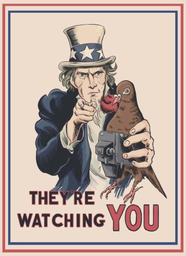 Pigeon Propaganda